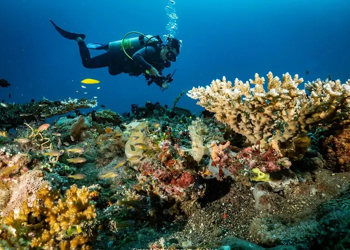 Teluk Karang Dive &